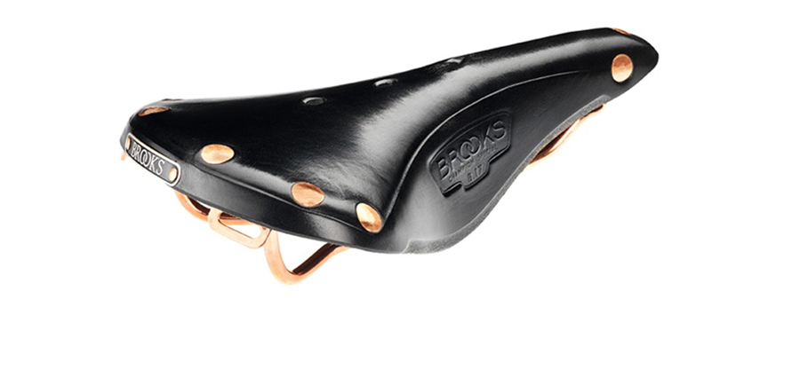 Brooks-Special-Edition-B17
