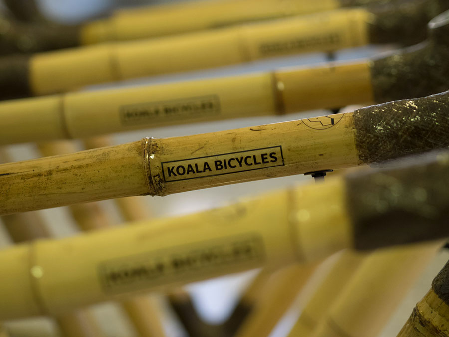 Koala-Bicycles-Bambusrahmen