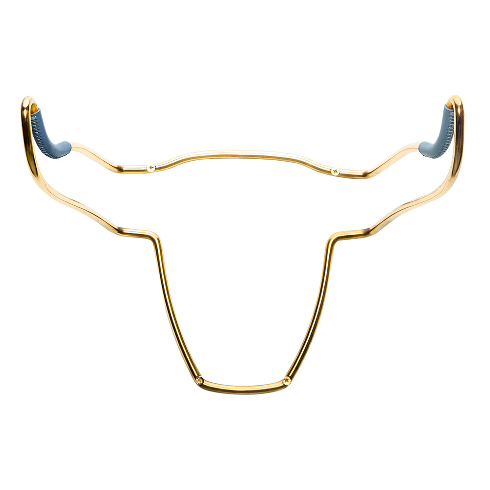 trophy-bull-bicycle-holder-lux-finish-brass